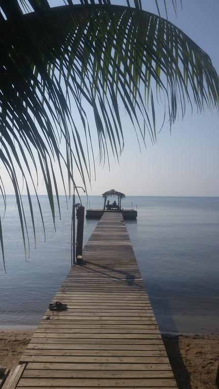 Monkey Beach Retreat Hotel Monkey River Town Exterior photo